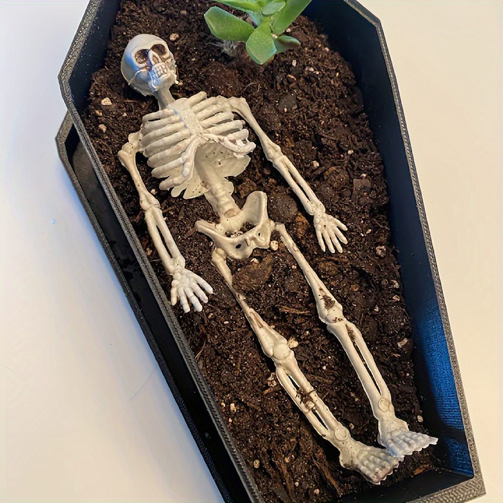 Snake Plant Ceramic - Coffin Planter | Coffin Planter with