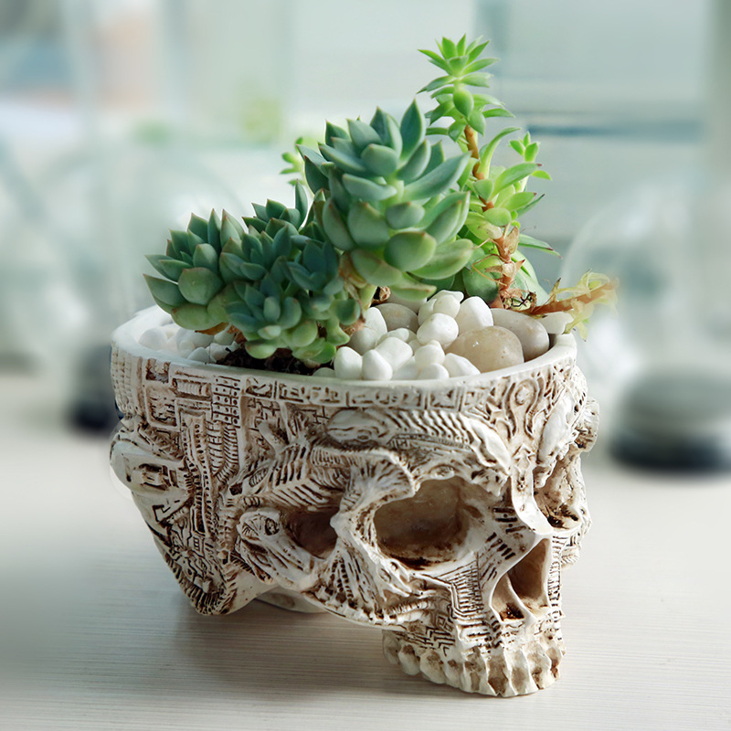 Halloween Skull Flower Pot Got - Snake Plant Ceramic ulasan dan harga
