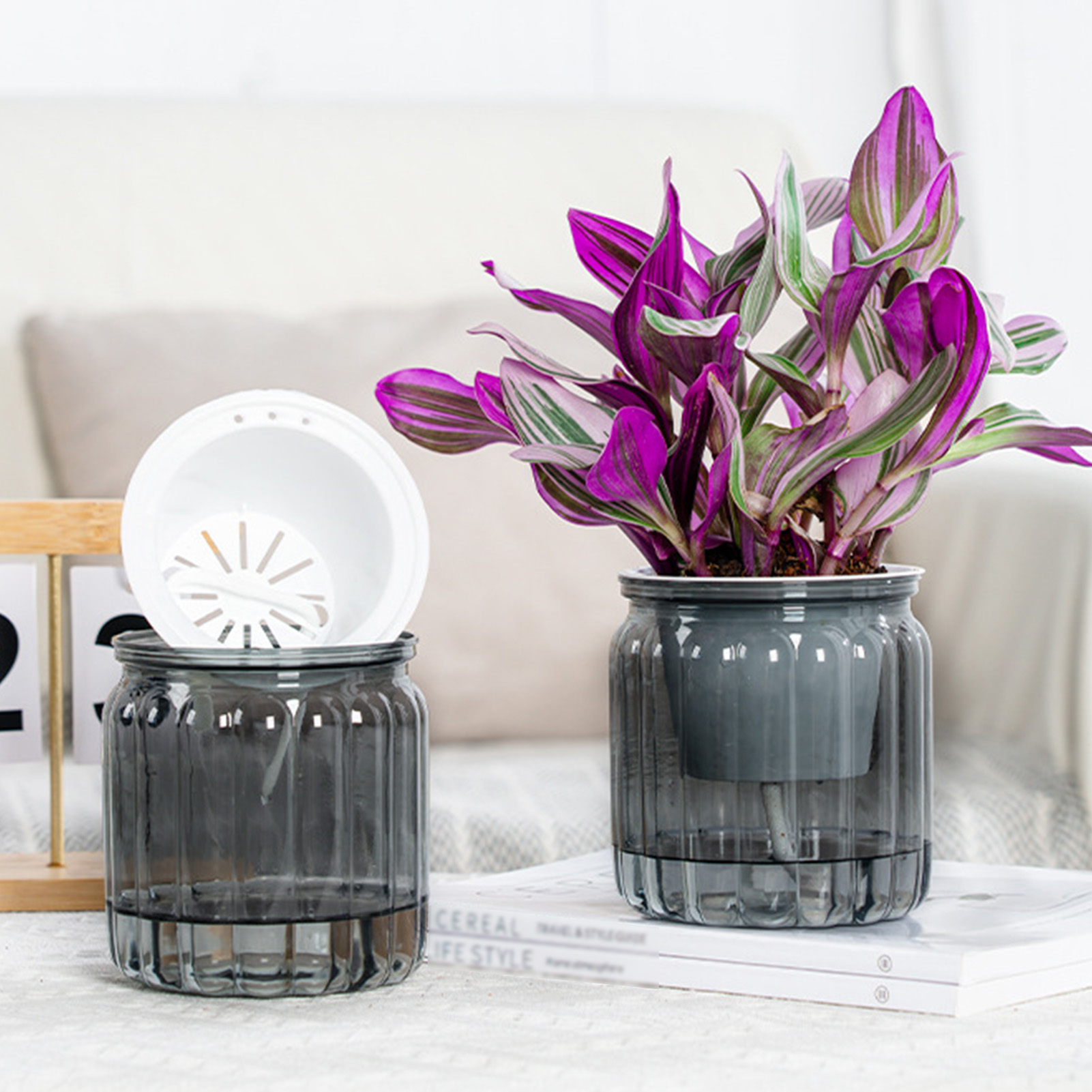 Modern Self-Watering Planters  - Snake Plant Ceramic ulasan dan harga