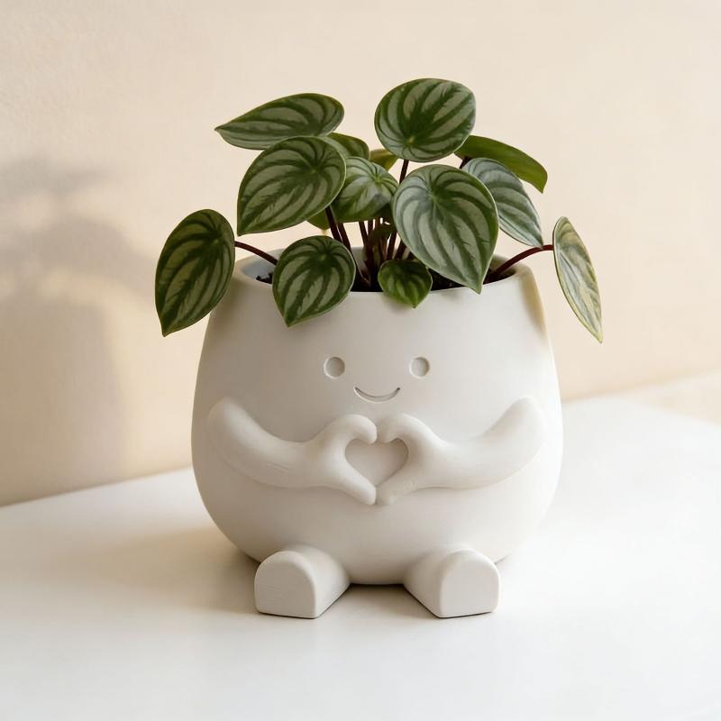 Unique Sitting Chair Face Flow - Snake Plant Ceramic ulasan dan harga